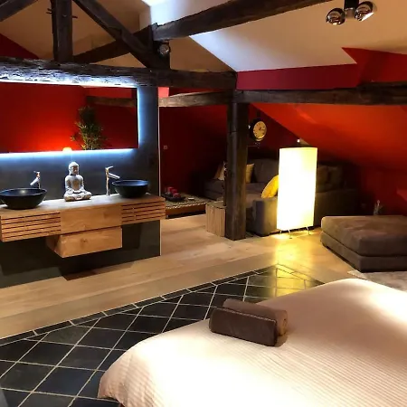Jacuzzi - Bbq - Jardin - Garden - Le Tulipier Apartament Olne