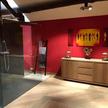 Apartament Jacuzzi - Bbq - Jardin - Garden - Le Tulipier