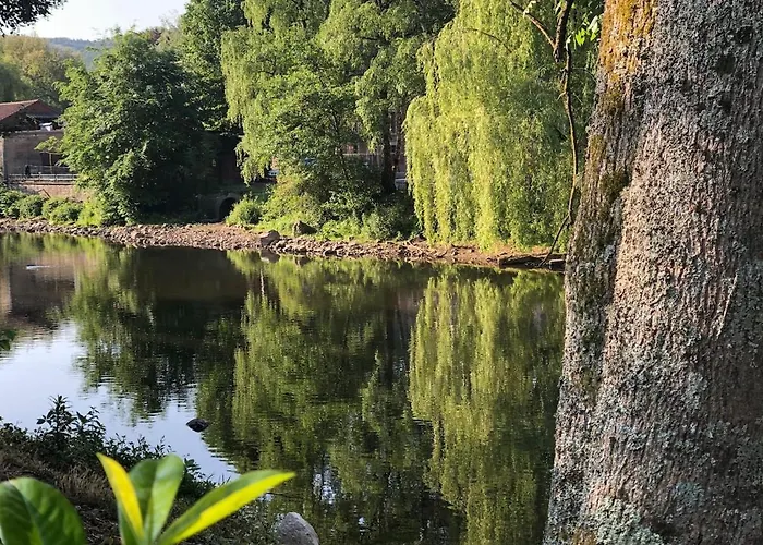 Garden - Le Tulipier * Olne